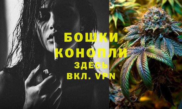 ПСИЛОЦИБИНОВЫЕ ГРИБЫ Бронницы