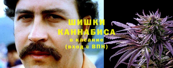 ПСИЛОЦИБИНОВЫЕ ГРИБЫ Бронницы